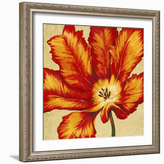 Parrot Tulip II-Tim O'toole-Framed Art Print