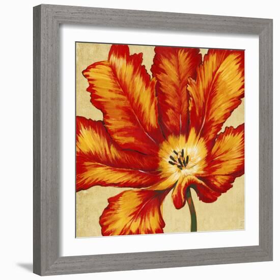 Parrot Tulip II-Tim O'toole-Framed Art Print