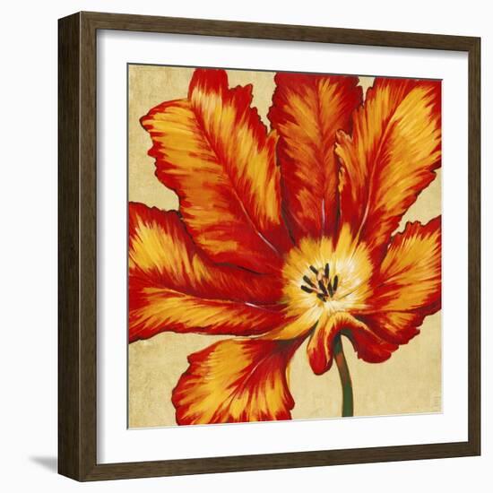 Parrot Tulip II-Tim O'toole-Framed Art Print