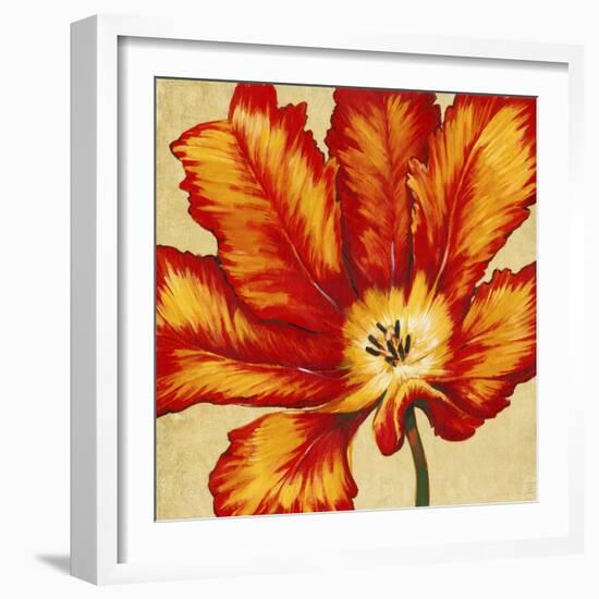 Parrot Tulip II-Tim O'toole-Framed Art Print