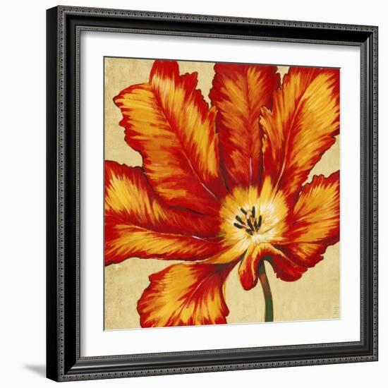 Parrot Tulip II-Tim O'toole-Framed Art Print