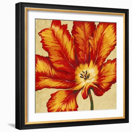 Parrot Tulip II-Tim O'toole-Framed Art Print