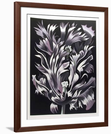 Parrot Tulip on Black-Lowell Nesbitt-Framed Limited Edition