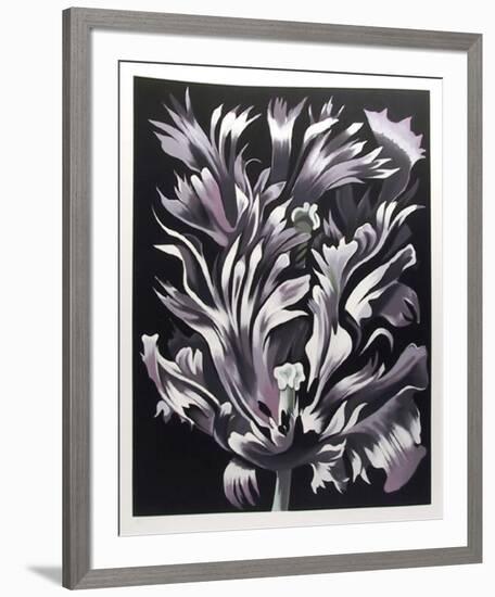 Parrot Tulip on Black-Lowell Nesbitt-Framed Limited Edition