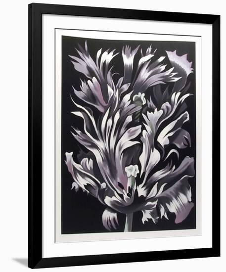 Parrot Tulip on Black-Lowell Nesbitt-Framed Limited Edition