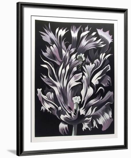 Parrot Tulip on Black-Lowell Nesbitt-Framed Limited Edition