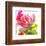 Parrot Tulip-Judy Stalus-Framed Premium Giclee Print