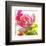 Parrot Tulip-Judy Stalus-Framed Premium Giclee Print