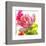 Parrot Tulip-Judy Stalus-Framed Premium Giclee Print