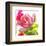 Parrot Tulip-Judy Stalus-Framed Premium Giclee Print