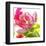 Parrot Tulip-Judy Stalus-Framed Art Print