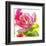 Parrot Tulip-Judy Stalus-Framed Art Print