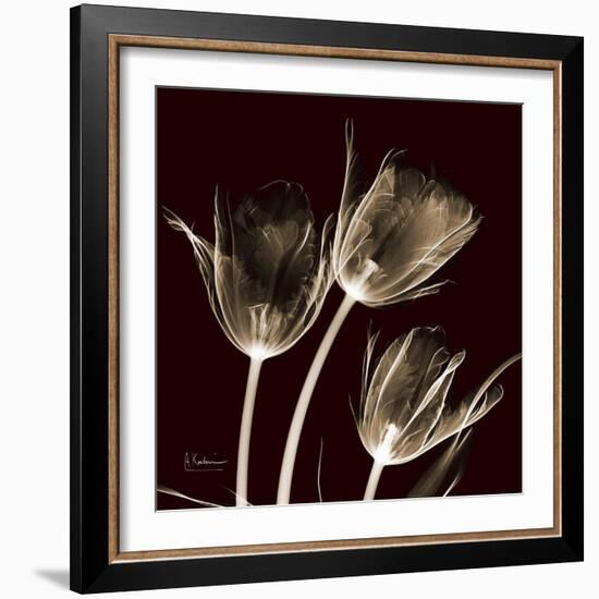 Parrot Tulips 1-Albert Koetsier-Framed Art Print