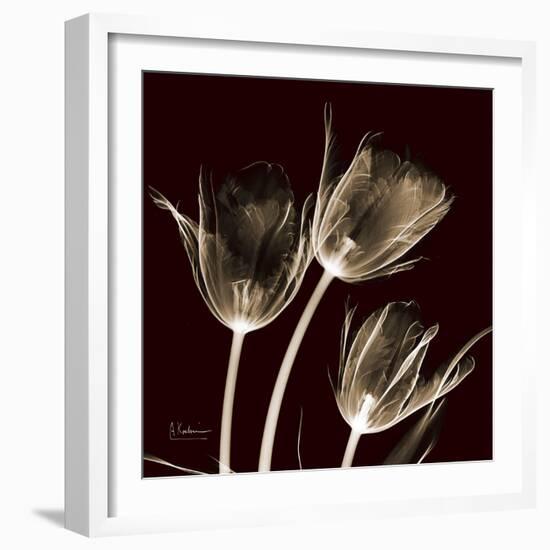 Parrot Tulips 1-Albert Koetsier-Framed Art Print