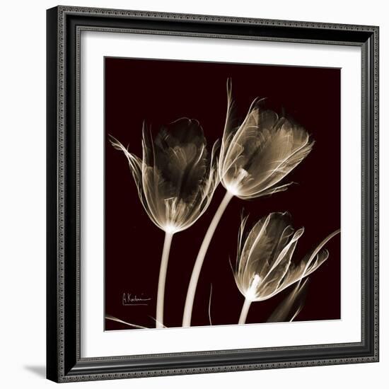 Parrot Tulips 1-Albert Koetsier-Framed Art Print