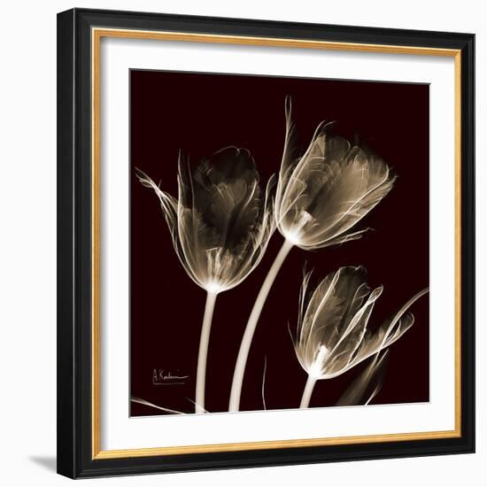 Parrot Tulips 1-Albert Koetsier-Framed Art Print