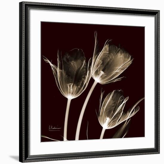 Parrot Tulips 1-Albert Koetsier-Framed Premium Giclee Print