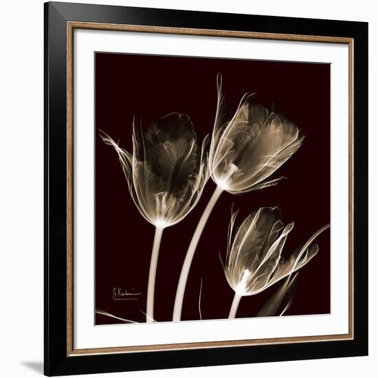 Parrot Tulips 1-Albert Koetsier-Framed Premium Giclee Print