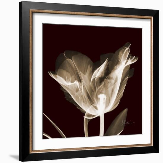 Parrot Tulips 2-Albert Koetsier-Framed Art Print