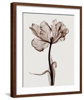 Parrot Tulips I-Steven N^ Meyers-Framed Giclee Print