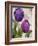 Parrot Tulips I-null-Framed Giclee Print