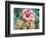 Parrot Tulips II-Paula Giltner-Framed Premium Giclee Print