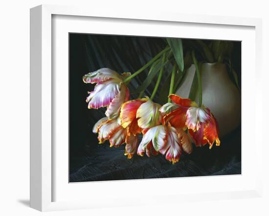 Parrot Tulips in White Pitcher-Anna Miller-Framed Photographic Print