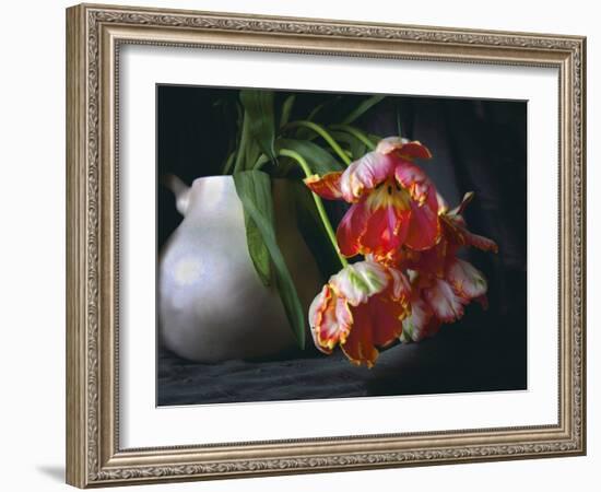 Parrot Tulips in White Pitcher-Anna Miller-Framed Photographic Print