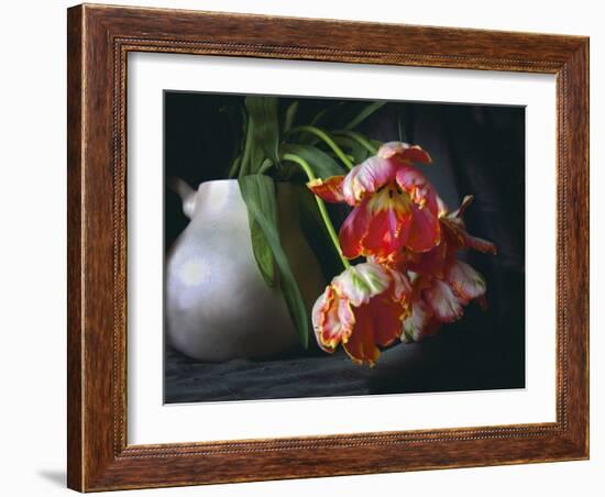 Parrot Tulips in White Pitcher-Anna Miller-Framed Photographic Print