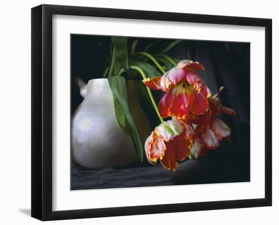 Parrot Tulips in White Pitcher-Anna Miller-Framed Photographic Print