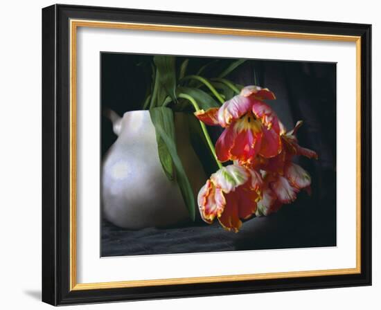 Parrot Tulips in White Pitcher-Anna Miller-Framed Photographic Print