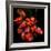 Parrot Tulips-Magda Indigo-Framed Photographic Print