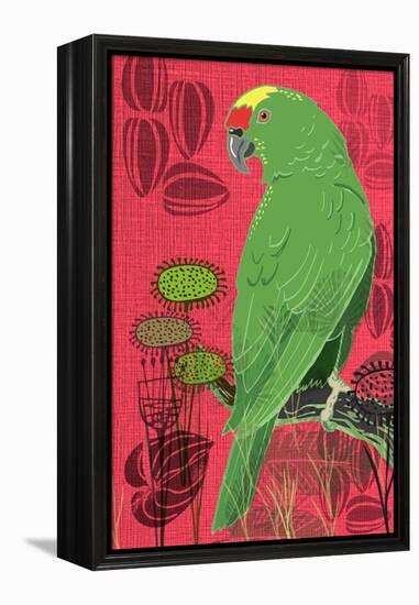 Parrot-Rocket 68-Framed Premier Image Canvas