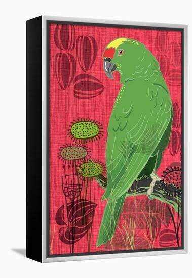 Parrot-Rocket 68-Framed Premier Image Canvas