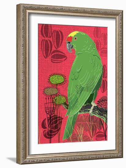 Parrot-Rocket 68-Framed Giclee Print