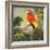 Parrots at Bay I-Jane Slivka-Framed Art Print