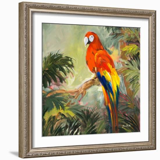 Parrots at Bay I-Jane Slivka-Framed Art Print