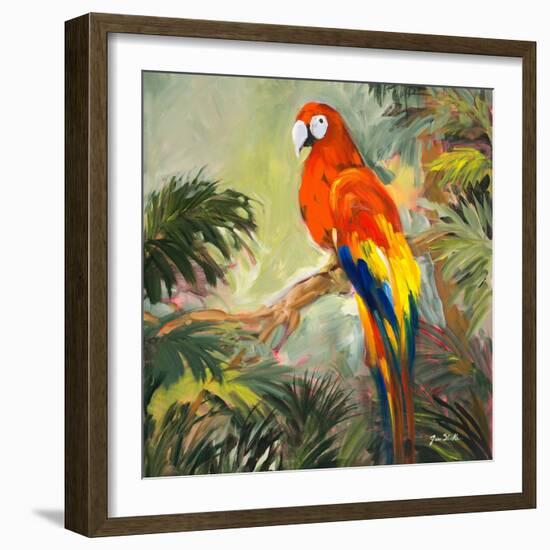 Parrots at Bay I-Jane Slivka-Framed Art Print