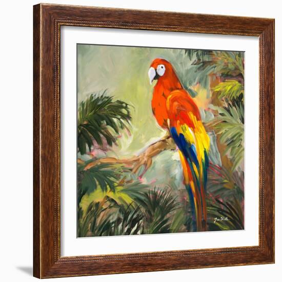 Parrots at Bay I-Jane Slivka-Framed Art Print