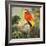 Parrots at Bay I-Jane Slivka-Framed Art Print