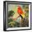 Parrots at Bay I-Jane Slivka-Framed Art Print