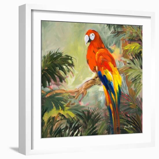 Parrots at Bay I-Jane Slivka-Framed Art Print