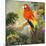 Parrots at Bay I-Jane Slivka-Mounted Art Print