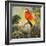 Parrots at Bay I-Jane Slivka-Framed Art Print