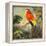 Parrots at Bay I-Jane Slivka-Framed Stretched Canvas