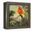 Parrots at Bay I-Jane Slivka-Framed Stretched Canvas