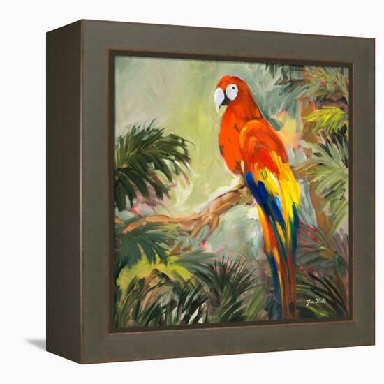 Parrots at Bay I-Jane Slivka-Framed Stretched Canvas