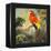 Parrots at Bay I-Jane Slivka-Framed Stretched Canvas