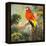 Parrots at Bay I-Jane Slivka-Framed Stretched Canvas