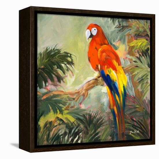 Parrots at Bay I-Jane Slivka-Framed Stretched Canvas